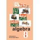 Algebra 8 , učebnice
